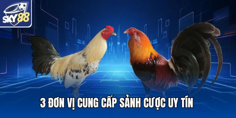 3 đơn vị cung cấp sảnh cược uy tín