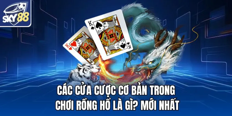 Các cửa cược cơ bản trong chơi Rồng Hổ là gì? mới nhất