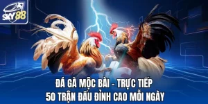 Đá Gà Mộc Bài