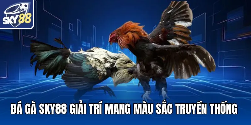 Đá gà SKY88 giải trí mang màu sắc truyền thống