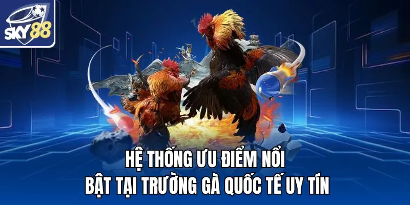 Hệ thống ưu điểm nổi bật tại trường gà quốc tế uy tín