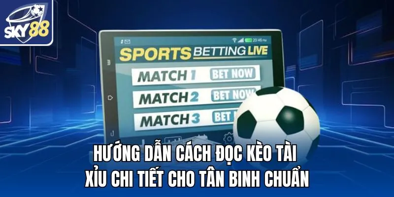 Hướng dẫn cách đọc kèo Tài Xỉu chi tiết cho tân binh chuẩn